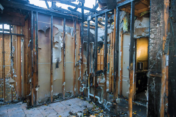 Professional Smoke Damage Removal technician working in Bloomingdale, FL